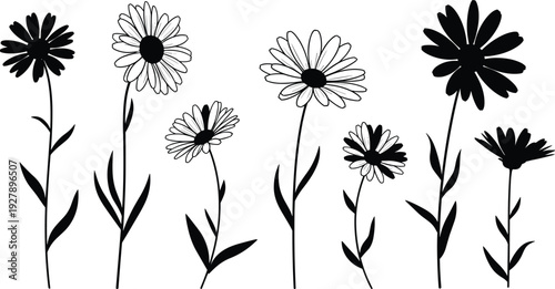 Wildflower silhouette illustration set featuring hand drawn daisy flowers with stems and leaves isolated on white background, botanical line art, nature decoration, and minimal floral design concept