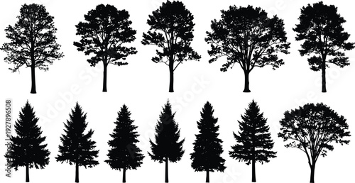 Set of black tree silhouettes isolated on white background, deciduous and pine forest shapes for nature illustration, landscape design, logos, prints, and eco concepts