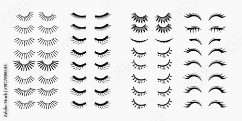 Collection of various styles of black false eyelashes arranged in rows