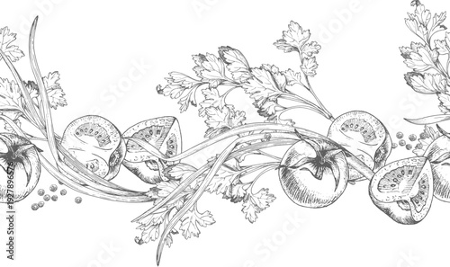 Seamless border of green onion, tomatoes, parsley and black pepper. For packaging design, cards, cover, prints, product labels and fabric.