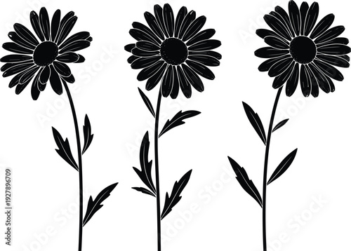 Set of daisy flower silhouettes with stems and leaves, isolated on white background for botanical decoration, nature illustration, floral design and creative vector projects.