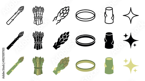 Asparagus vegetable icon set in various styles showing a single spear, bunch, slice, and tip in outline, glyph, and color versions for graphic design and culinary themes