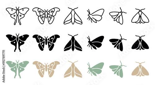 Collection of minimalist moth and butterfly illustrations in outline, silhouette, and colored styles, showcasing various stylized insect designs for graphic projects