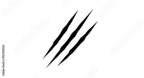 Sharp Black Claw Marks Isolated on White Background