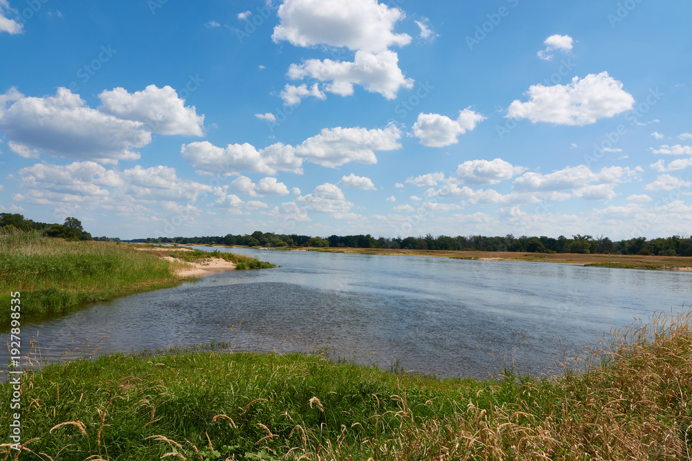 Fototapeta premium Blick auf die Elbe bei Dömitz
