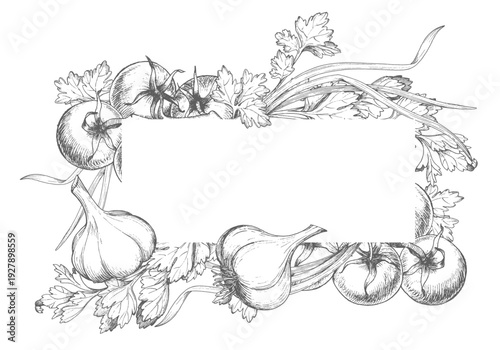 Restangular frame of the tomatoes, parsley, green onion and garlic. For packaging design, cards, cover, prints, product labels and fabric.