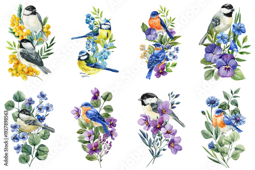 Εκτύπωση καμβά Watercolor spring birds clipart set with chickadee blue tit and bluebird surroun