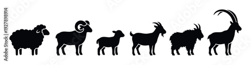 Six black silhouettes of various sheep and goats are depicted in a horizontal line, showcasing different breeds and ages with distinct horn shapes and wool textures in a clean, graphic style