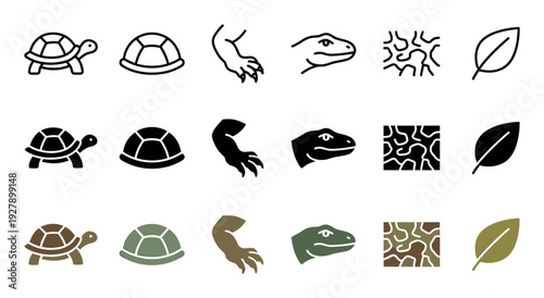 Stylized reptile and nature icon collection features various animals and elements like turtles, lizards, and leaves, presented in outline, solid, and colored graphic styles