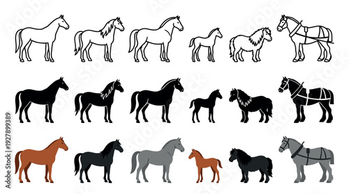 Collection of various stylized horses in different forms, including line art, silhouette, and flat color illustrations of adults, foals, ponies, and draft horses standing in profile