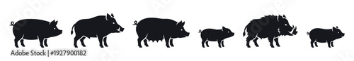 Various black silhouettes of pigs and wild boars, including a domestic pig, a sow, a piglet, and a bristly wild boar with tusks, presented in a graphic, iconic style