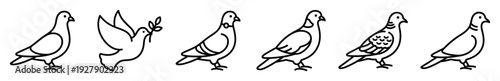 Six simple black outline pigeon illustrations depict various poses, including a flying dove holding an olive branch, symbolizing peace and freedom, rendered in a clean, minimalist icon style