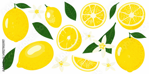 A vibrant arrangement of lemons blossoms and green leaves on white