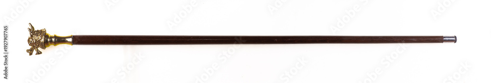 Obraz premium Aristocrat dragon cane isolated on white background