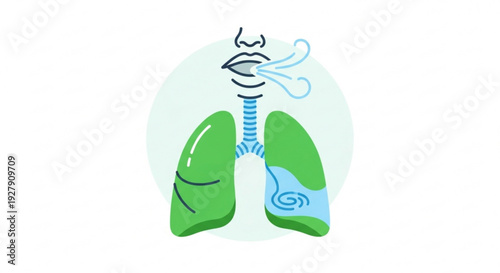 Healthy and unhealthy lungs with smoke inhalation effects on respiratory system