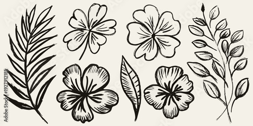 Detailed black and white botanical illustration featuring various flowers and lush green foliage