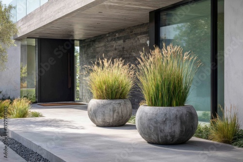 In a sunny residential neighborhood, planters filled with lush grasses are artfully arranged at the entrance of a sleek, modern house
