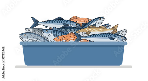 Fresh Fish in Container.