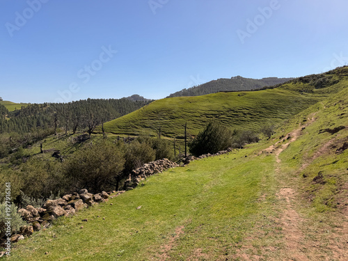 Ruta de senderismo entre colinas verdes del Monte Pavón en Canarias