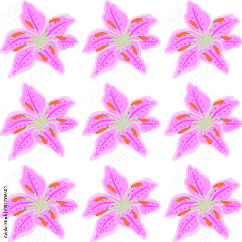 Obraz na płótnie set of lili flowers