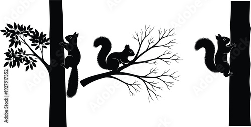 Squirrel silhouettes on tree branches, wildlife animal illustration set, playful forest rodent characters climbing and sitting, nature vector isolated on white background