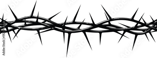 Black crown of thorns graphic on white background vector