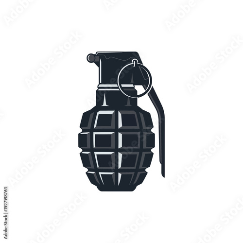 Dark grenade illustration on white background