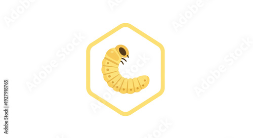 Larva in Honeycomb Cell.
