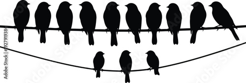 Black silhouette of birds perched on two horizontal wires
