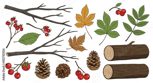 A collection of hand-drawn autumn forest elements including branches, leaves, berries, pinecones, and logs in a vintage style.