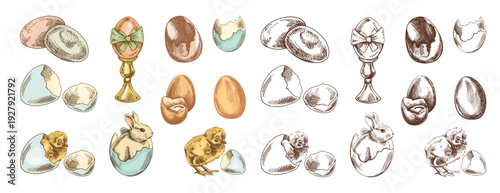 Hand drawn vintage easter illustration set with rabbit chick eggs cracked shells and holiday spring decorative elements collection