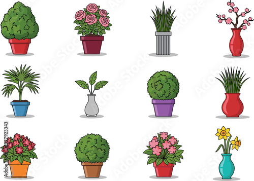 Colorful potted plants and flowers in various containers on a white background vases pots green leaves