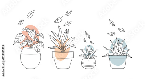 A modern, minimalist illustration set of four potted houseplants with falling leaves, drawn in a fine line art style with abstract shapes.