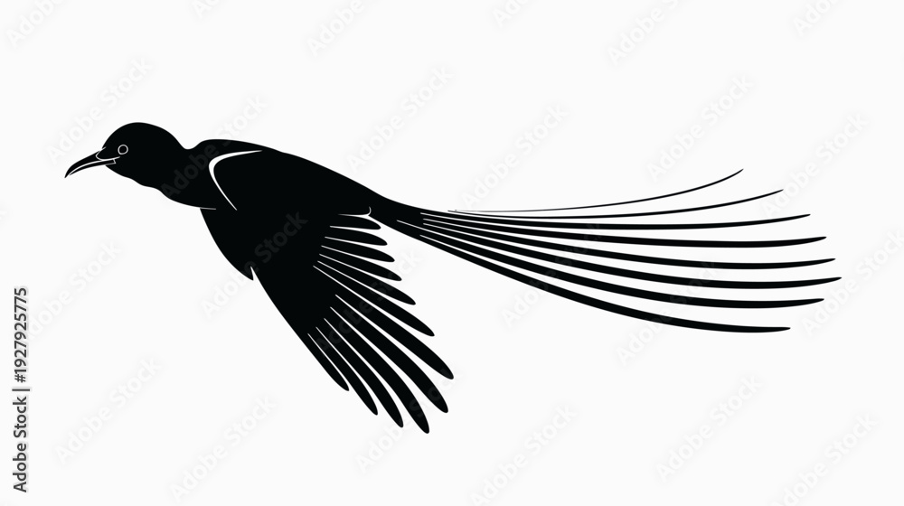 Obraz premium Black bird in flight silhouette graphic illustration isolated on white background