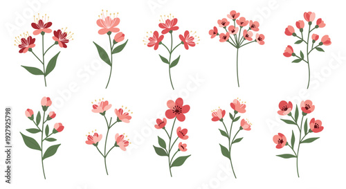 A beautiful collection of ten delicate pink and red floral sprigs and branches, illustrated in a simple, charming, textured style.