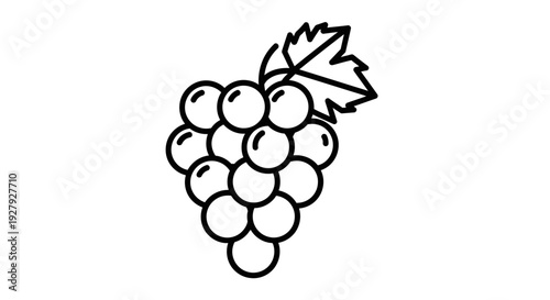 Black and white illustration of grapes with leaf isolated on white background