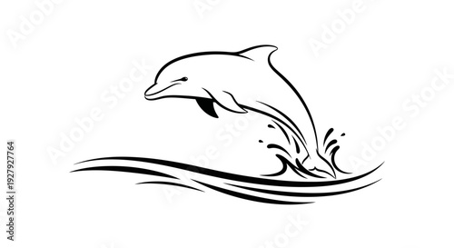 Jumping dolphin illustration black and white art for aquatic themes