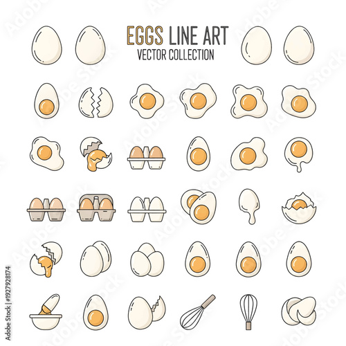 Fresh Eggs in Carton – Organic Farm Eggs Close-Up