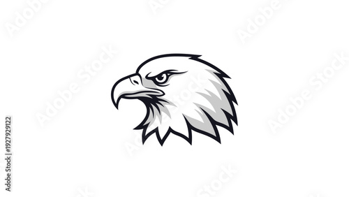 Eagle head illustration vector art of a fierce bird of prey symbol