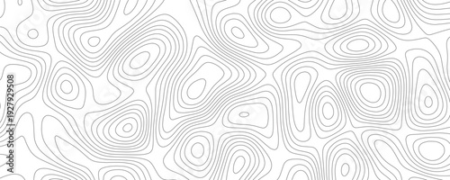 Technology abstract lines on white background. Undulate Grey Wave Swirl, frequency sound wave, twisted curve lines with blend effect.