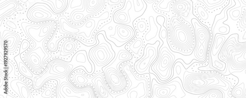 Technology abstract lines on white background. Undulate Grey Wave Swirl, frequency sound wave, twisted curve lines with blend effect.