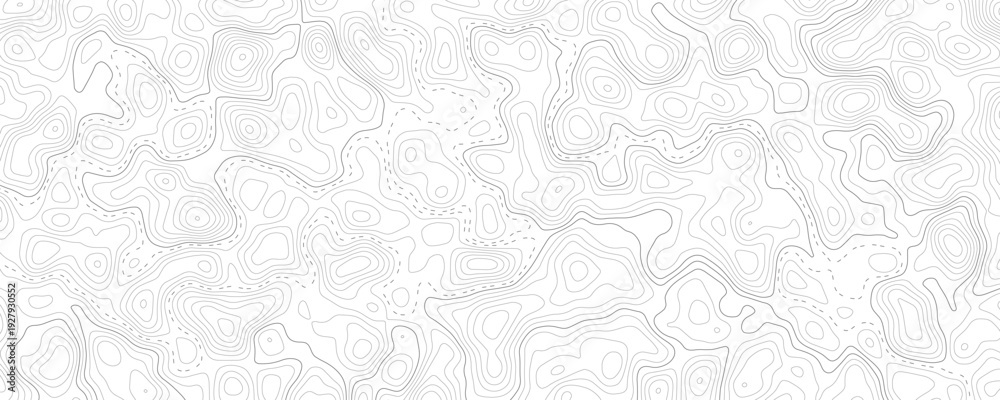 Obraz premium Technology abstract lines on white background. Undulate Grey Wave Swirl, frequency sound wave, twisted curve lines with blend effect.