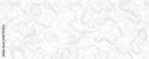 Technology abstract lines on white background. Undulate Grey Wave Swirl, frequency sound wave, twisted curve lines with blend effect.