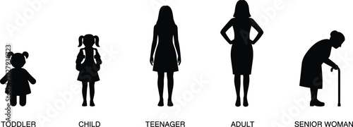 Vector Silhouette Set Illustrating Female Life Stages Evolution Including Toddler Child Teenager Adult and Senior Woman Figures