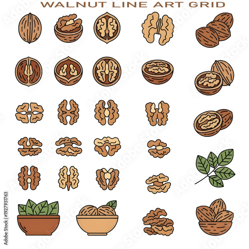 Shelled and Whole Walnuts – Healthy Nut and Protein Snack Close-Up