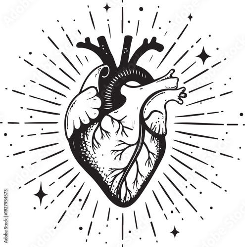 Heart organ in sparkling rays Hand-drawn Sketch Drawing Vector Illustration, Line Linear Symbol Black and White Engraving, Isolated
