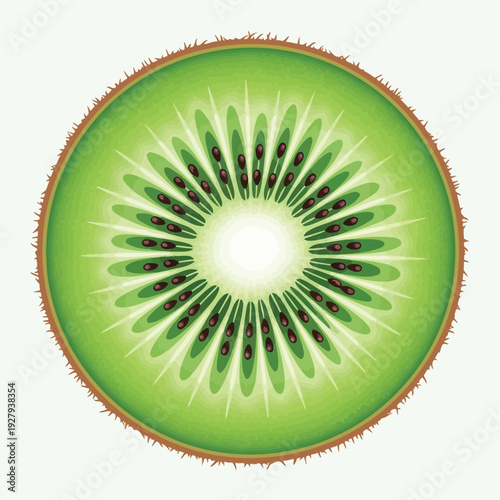 Kiwi fruit cross section with seeds and fuzzy brown skin green