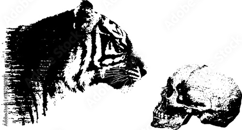 Tiger and skull in black and white ink illustration - high contrast artistic design for posters