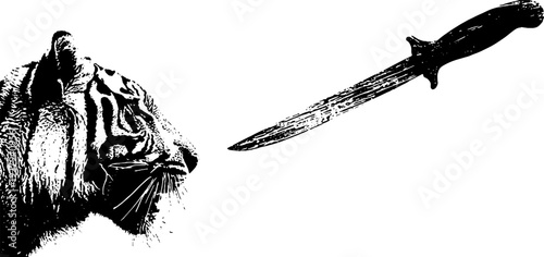 Intense tiger and dagger high contrast black and white ink art for design