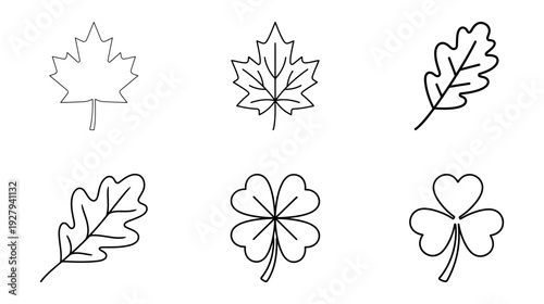 Leaves and clover botanical illustrations